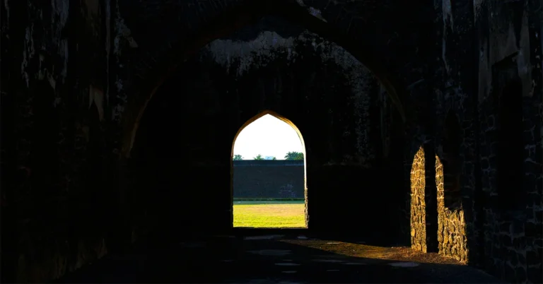 tomb of annihilation disclaimer