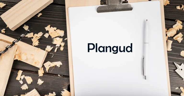 plangud